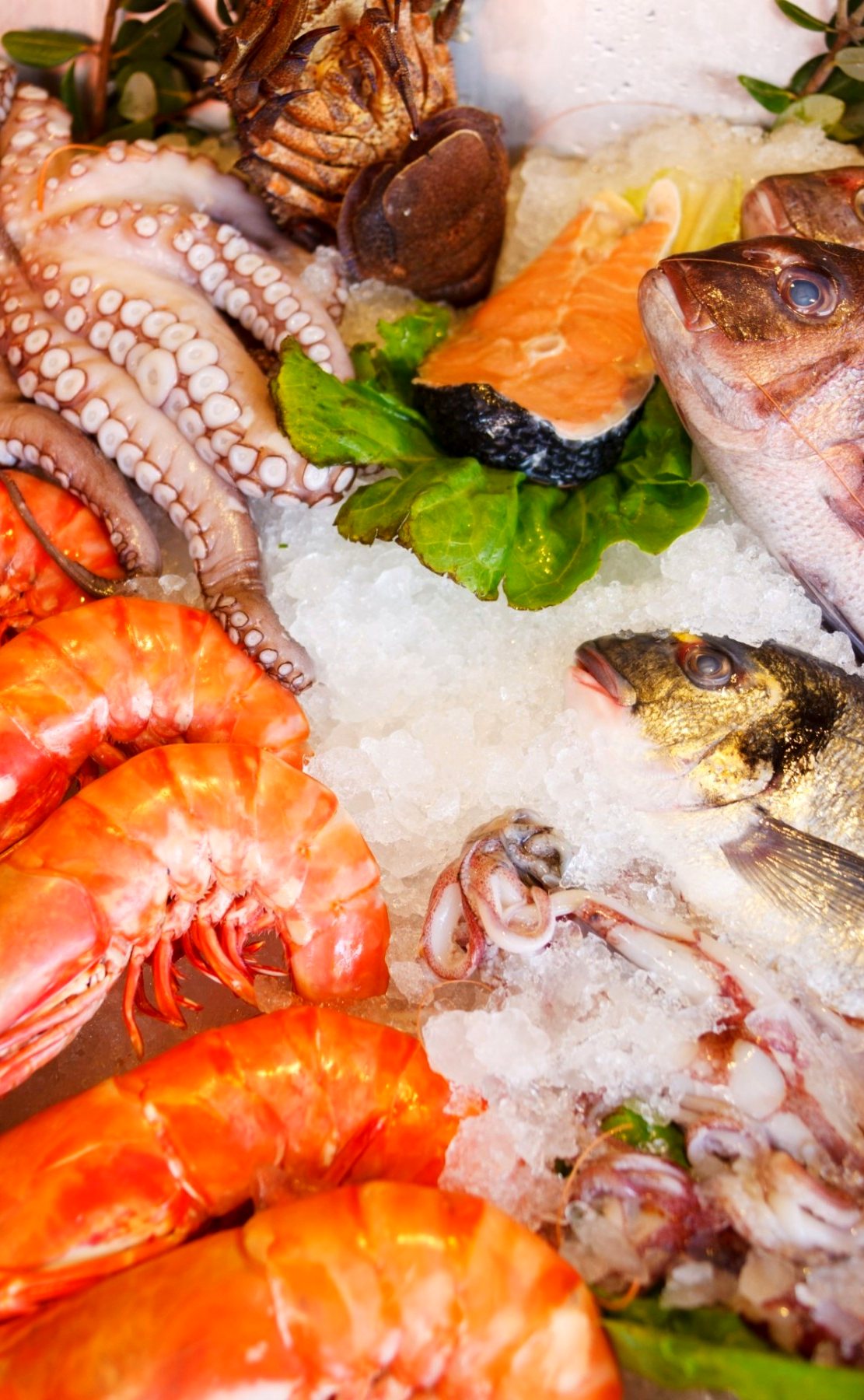 Fresh seafood on ice